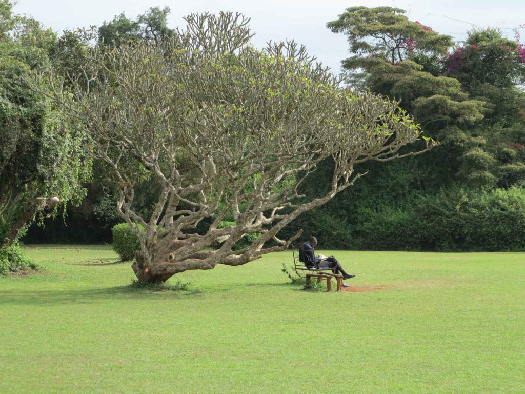 奈洛比 : 遠離非洲 女作家 Karen Blixen Museum 的故居