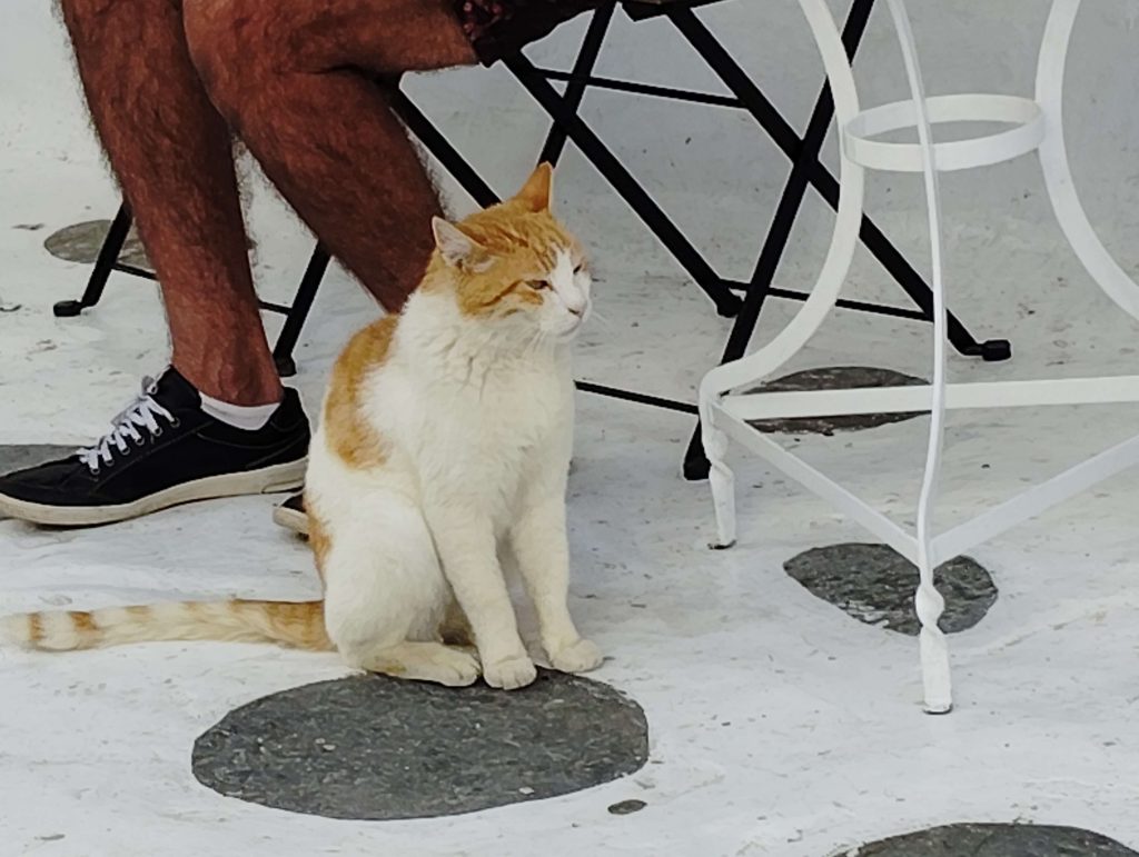 米克諾斯島 Mykonos
