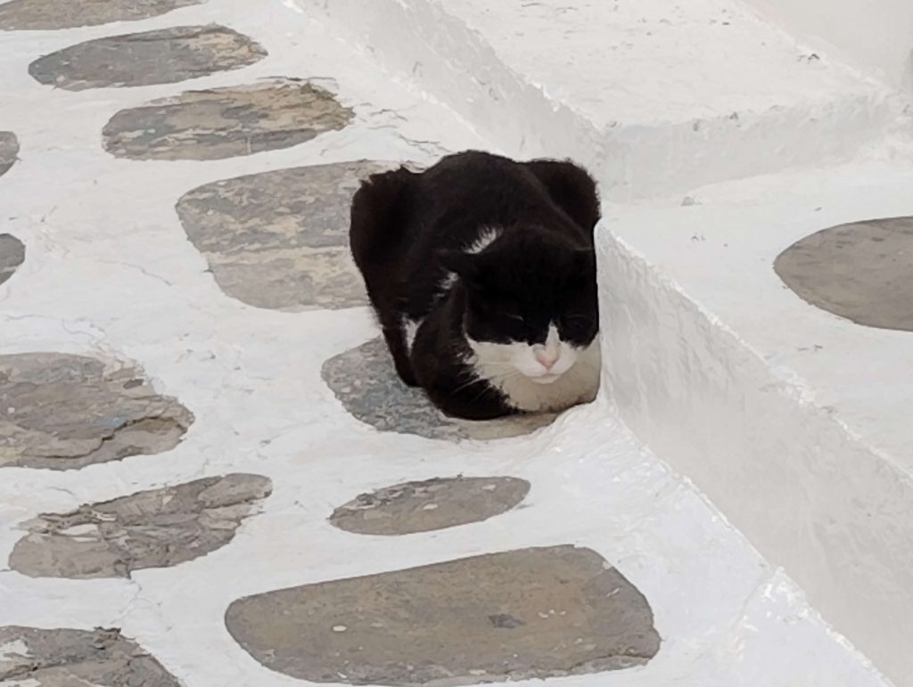 米克諾斯島 Mykonos
