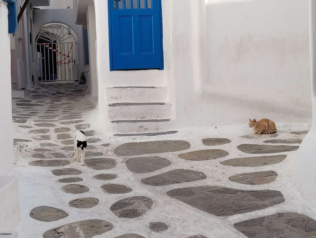 米克諾斯島 Mykonos