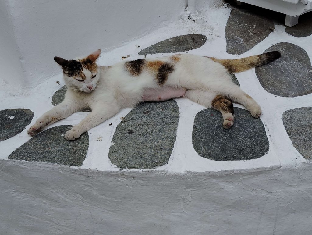 米克諾斯島 Mykonos