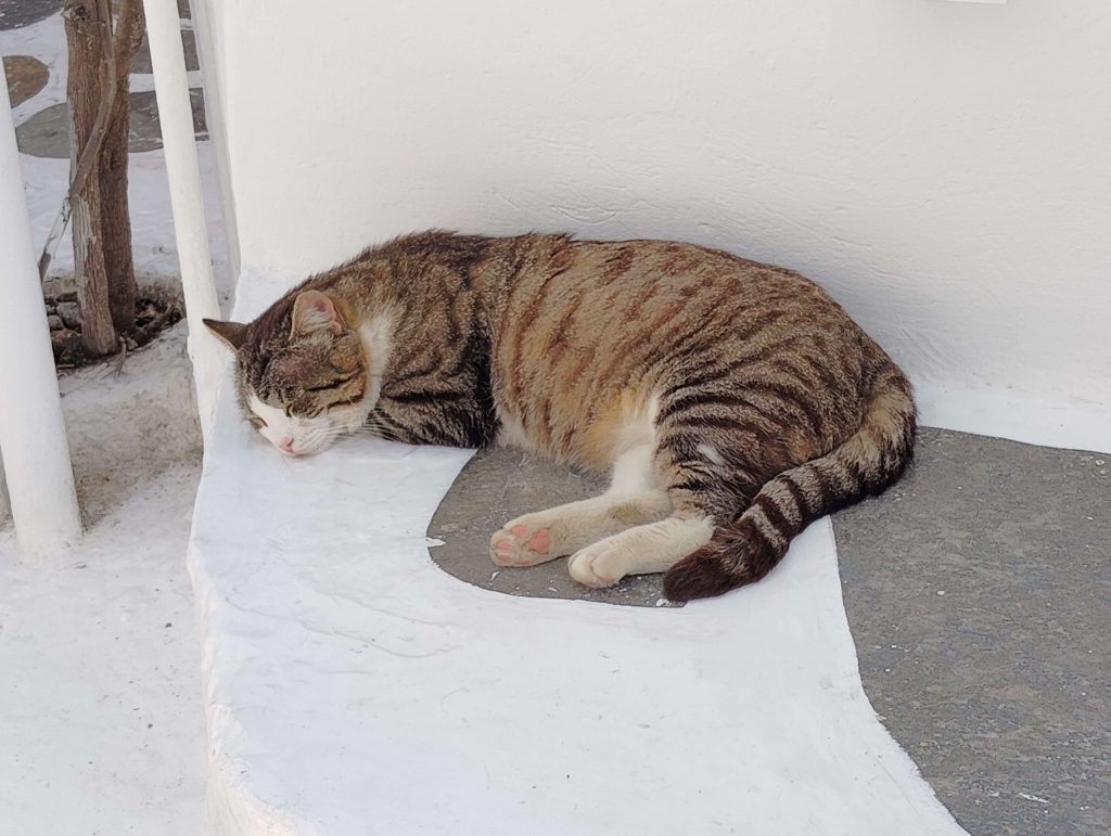 米克諾斯島 Mykonos