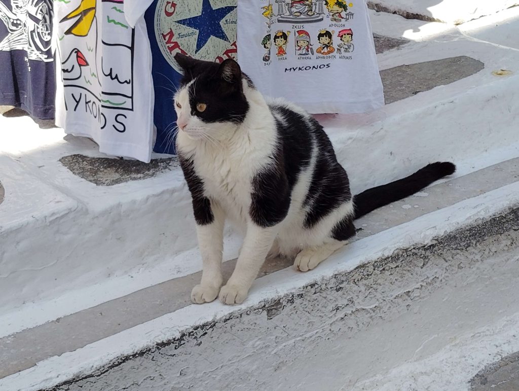 米克諾斯島 Mykonos