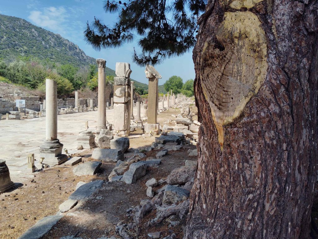 愛菲索斯 Ephesus : 集市 Agoras