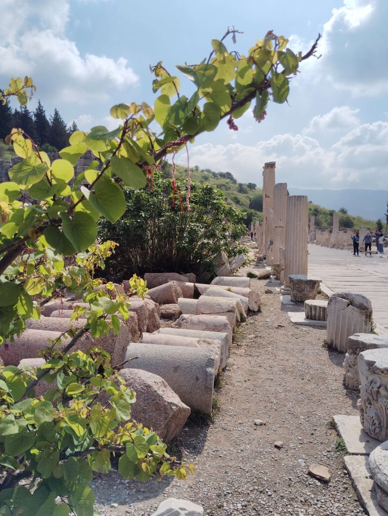 愛菲索斯 Ephesus : 集市 Agoras