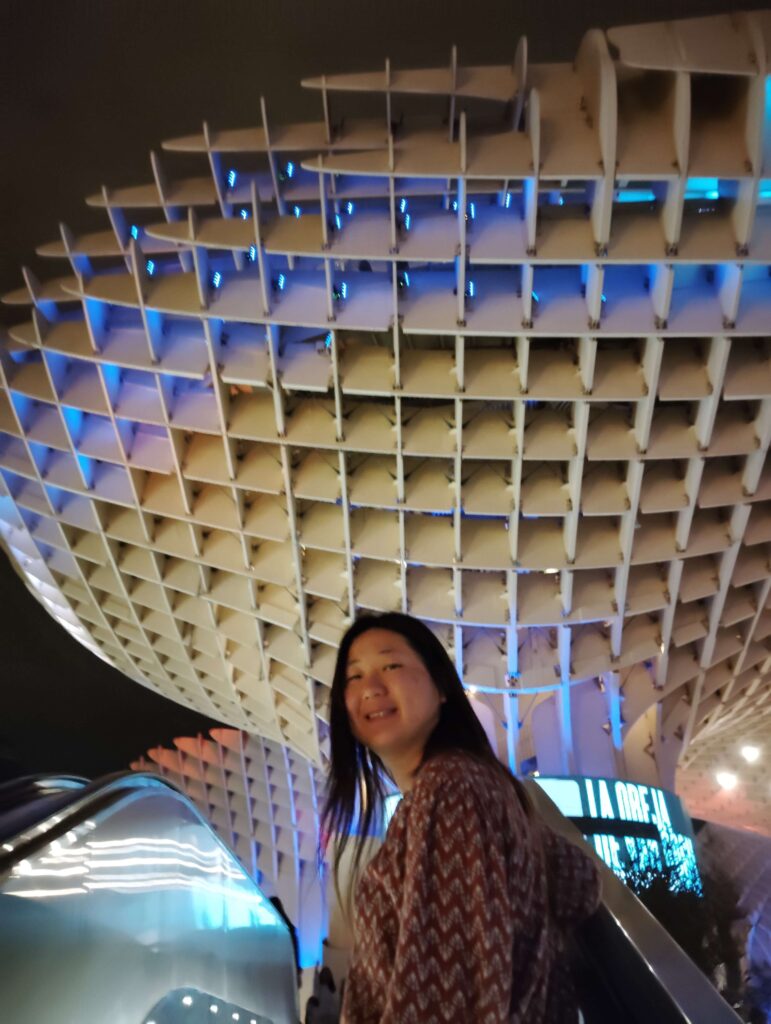都市陽傘 / 蘑菇大樓 : 世界最大的木建築