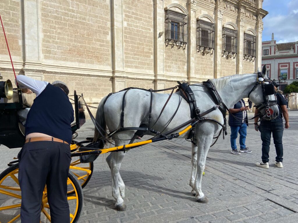 塞維亞 再次乘坐? 車,是個閑晃的好主意