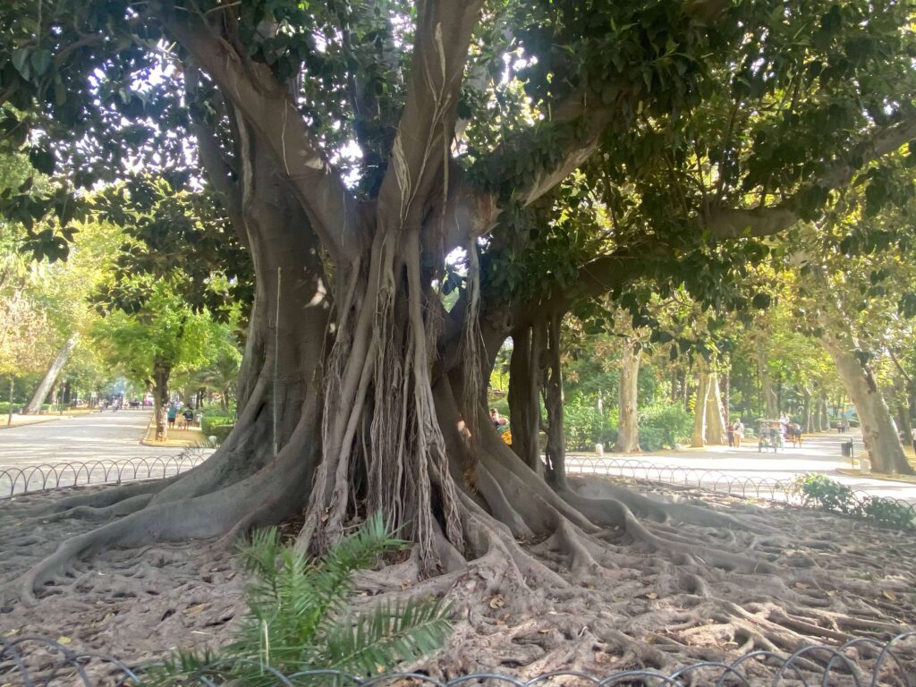 塞維亞
