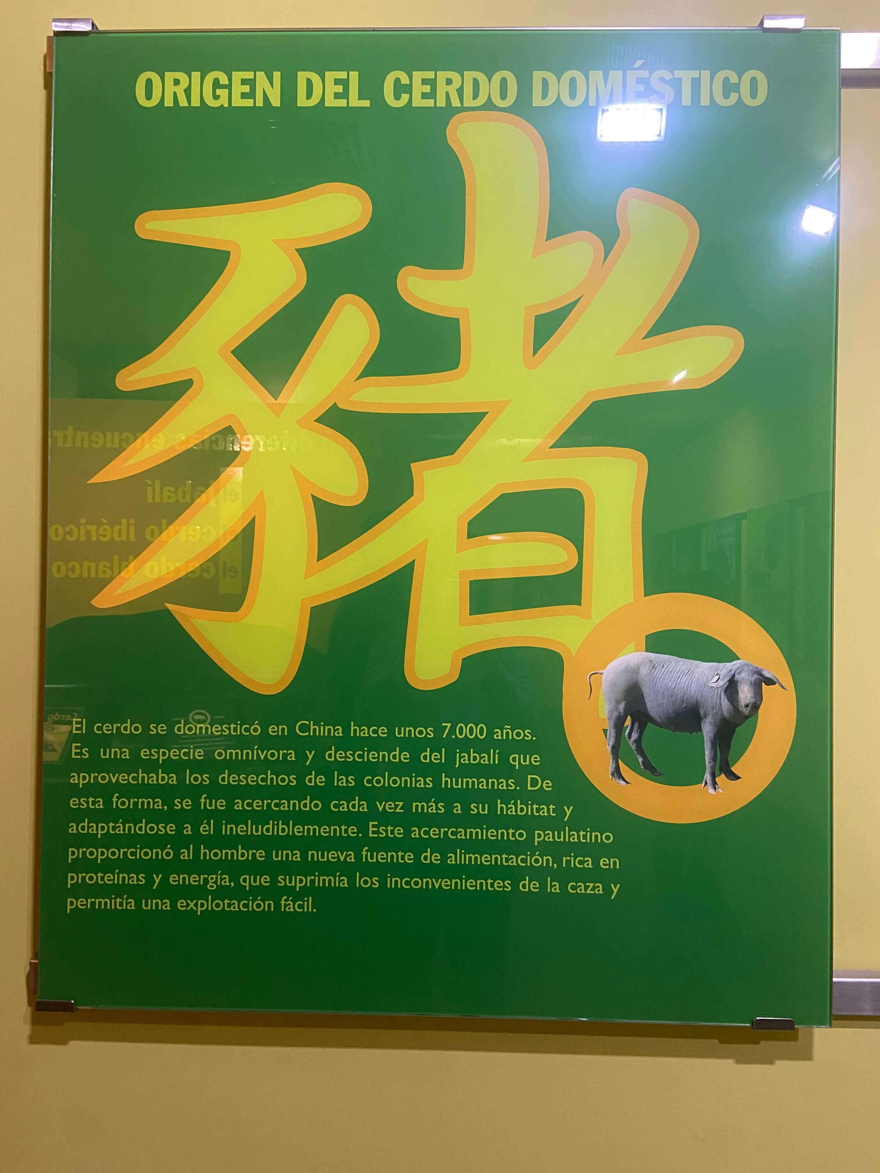 西班牙伊比利火腿 火腿博物館
