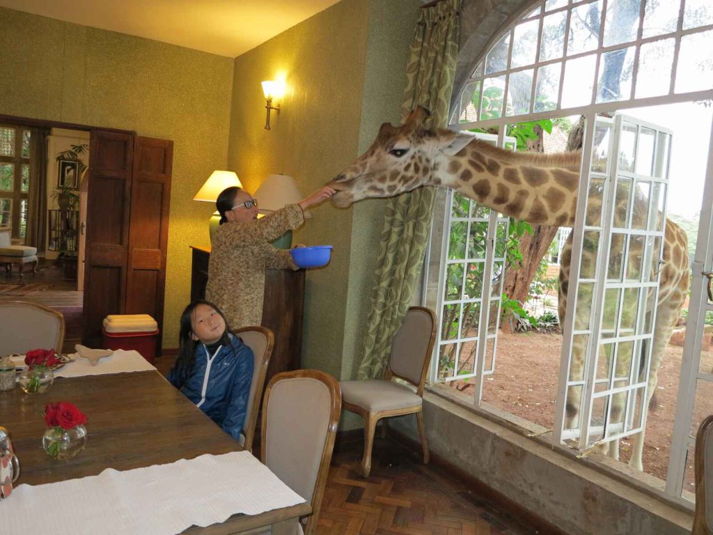 奈洛比 : 長頸鹿莊園 Giraffe Manor 共進早餐