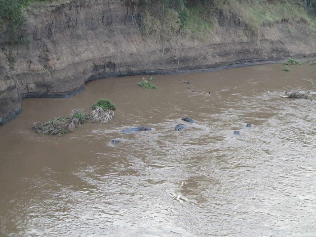 馬賽馬拉 Masai Mara 沒有圍欄的總督營地 扎營