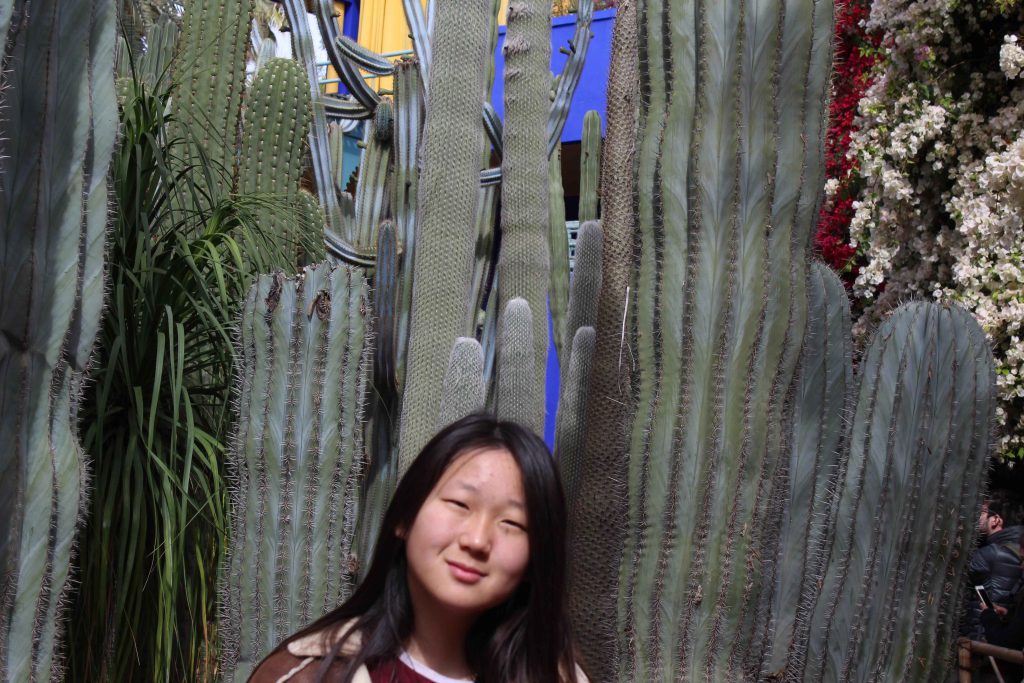 馬若雷勒花園 Majorelle Garden : 色彩鮮豔,擁有大量的仙人掌和棕櫚樹