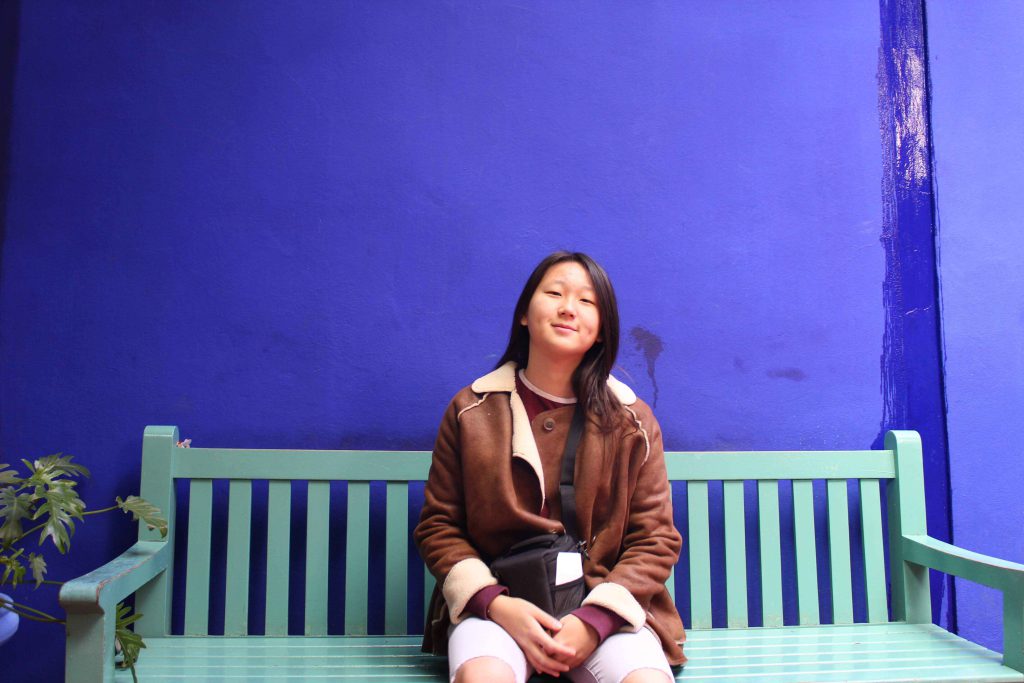 馬若雷勒花園 Majorelle Garden : 鮮豔色彩不禁讓我想起同樣以色彩斑斕著稱的墨西哥
