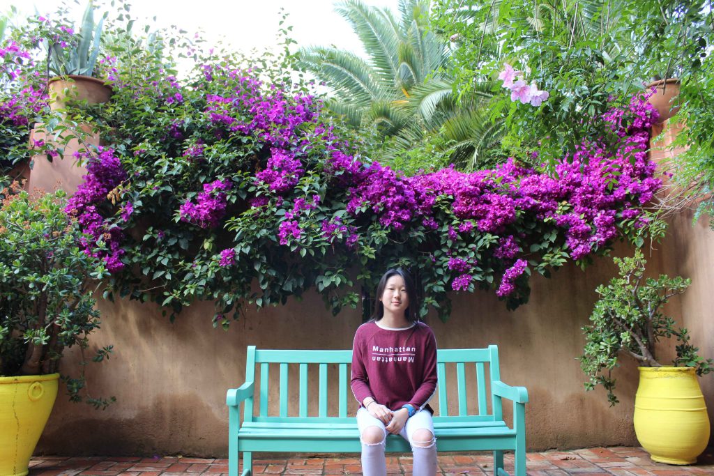 馬若雷勒花園 Majorelle Garden : 鮮豔色彩不禁讓我想起同樣以色彩斑斕著稱的墨西哥