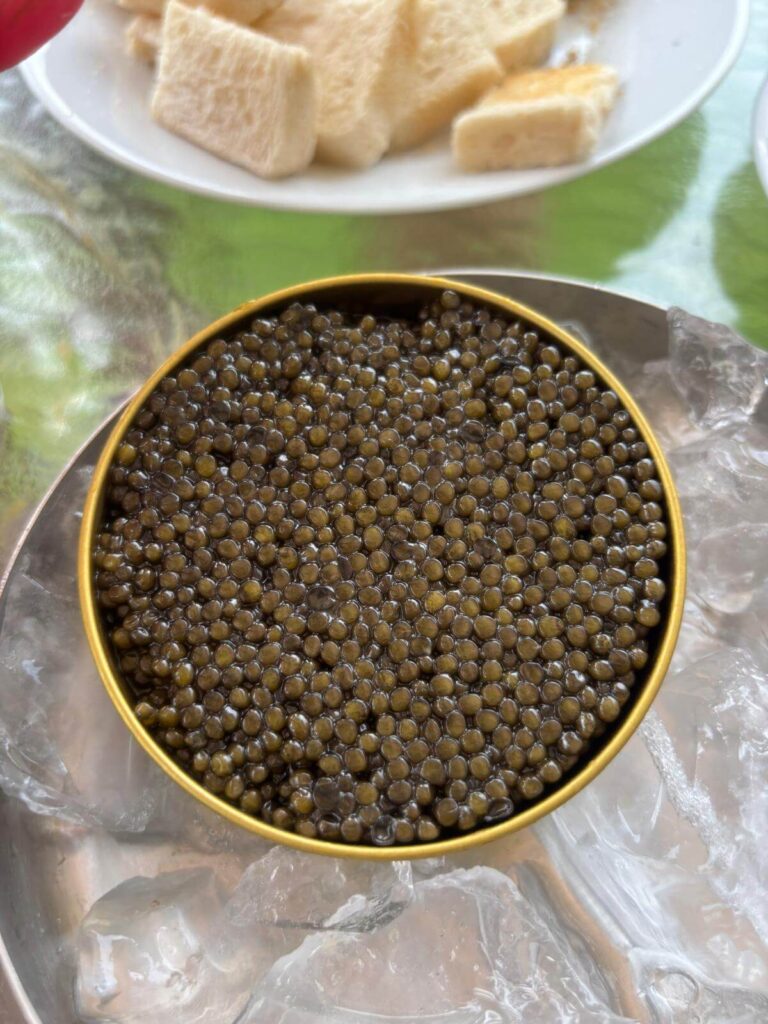魚子醬