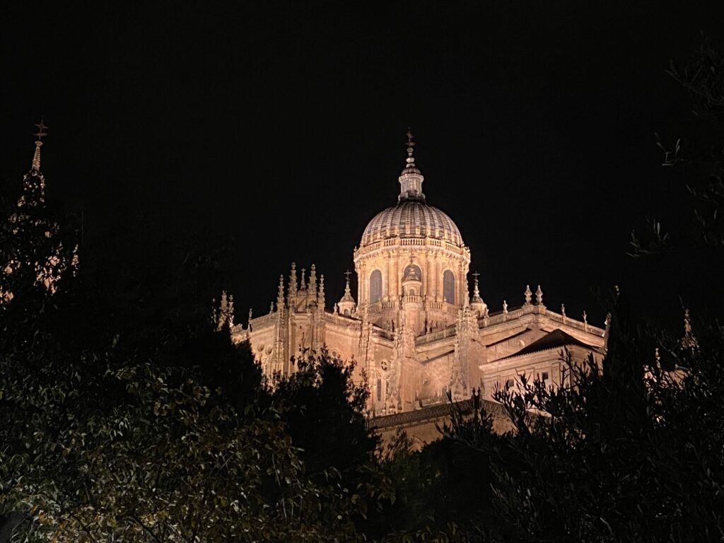 薩拉曼卡 Salamanca 大教堂
