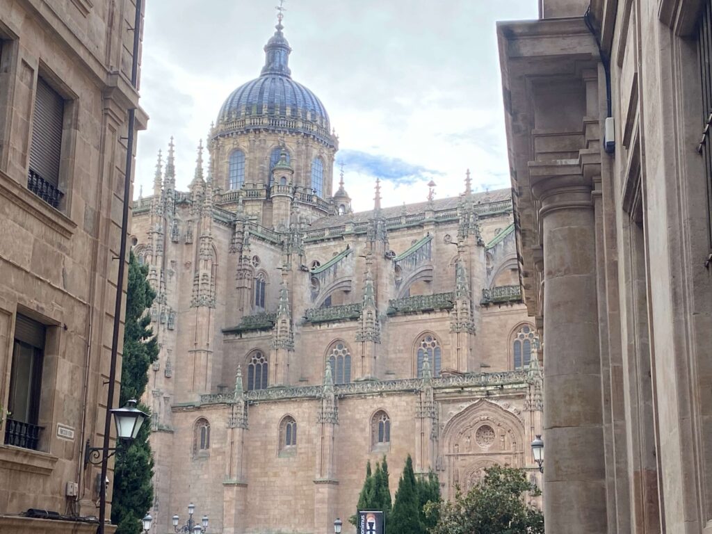 薩拉曼卡 Salamanca 大教堂