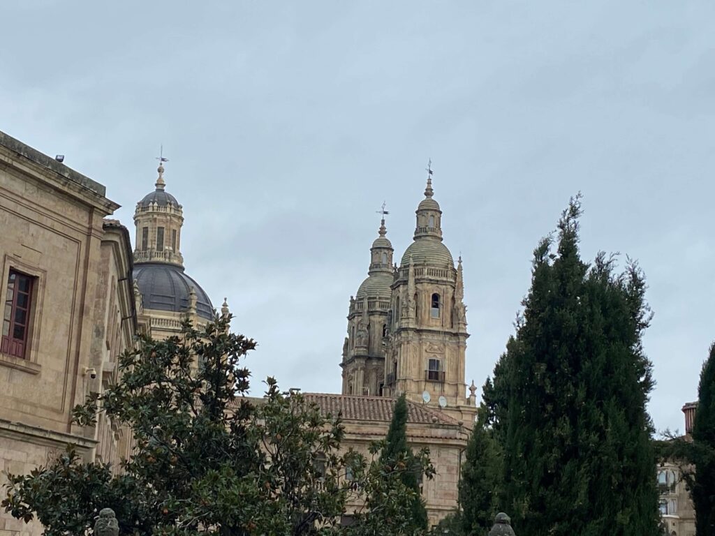 薩拉曼卡 Salamanca 哥德式壯麗新大教堂