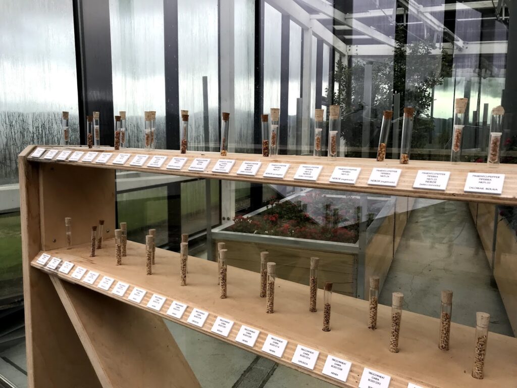 Azurmendi 菜園與研發室